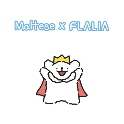 [Flalia] Maltese Water Drop Makeup Puff(S) 2P - Imagen 4